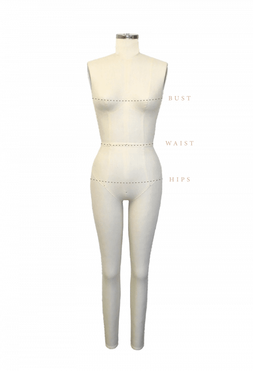 size model transparent size model transparent